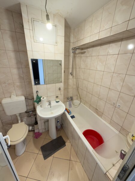 Doamna Ghica, Colentina,